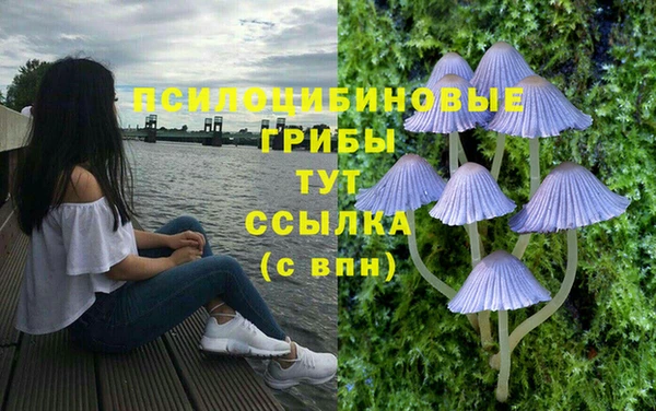 прущий лед Пересвет