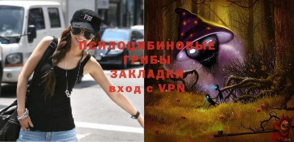 прущий лед Алексин