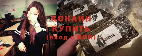 PSILOCYBIN Пестово
